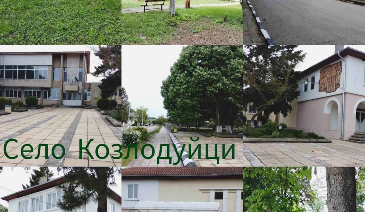 viber_изображение_2024-05-13_18-12-12-090