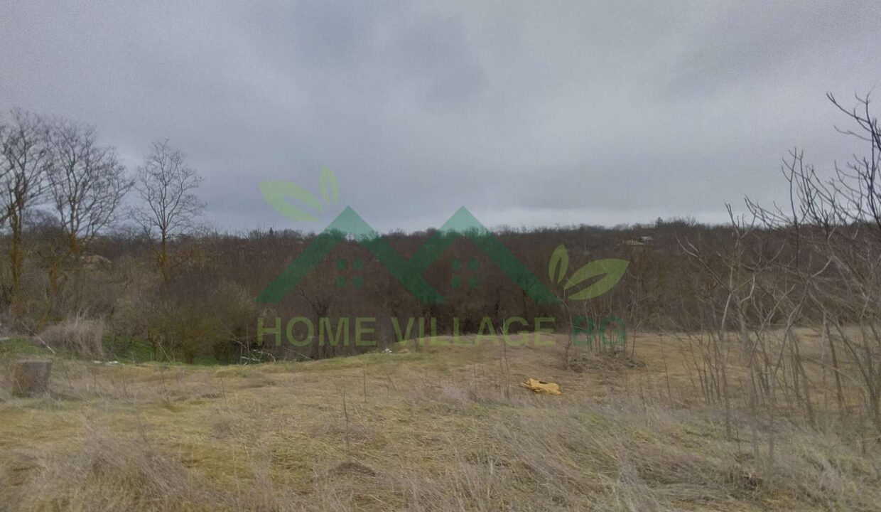 viber_изображение_2025-03-01_21-06-12-094