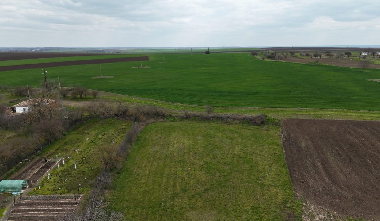 DJI_20260317114532_0008_D