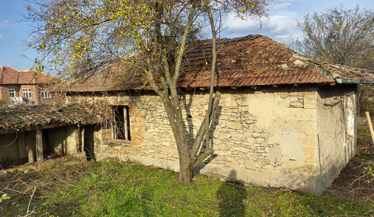 viber_изображение_2025-11-22_18-35-37-793