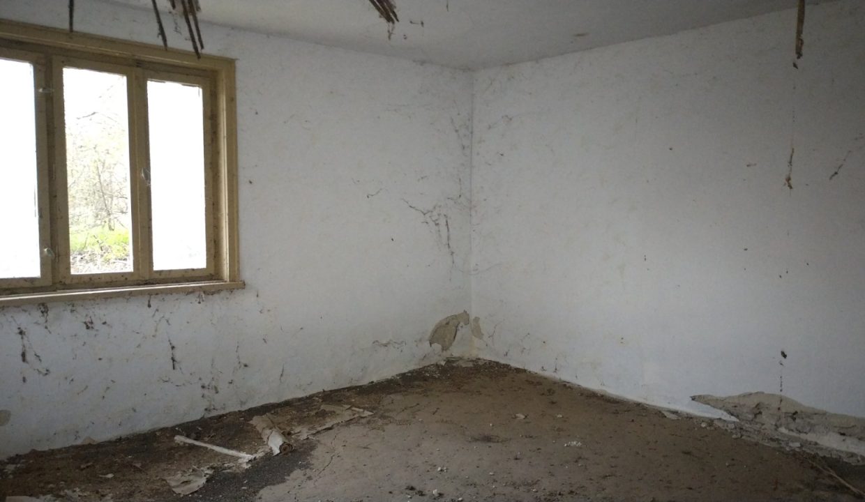 viber_изображение_2025-11-22_18-36-34-846